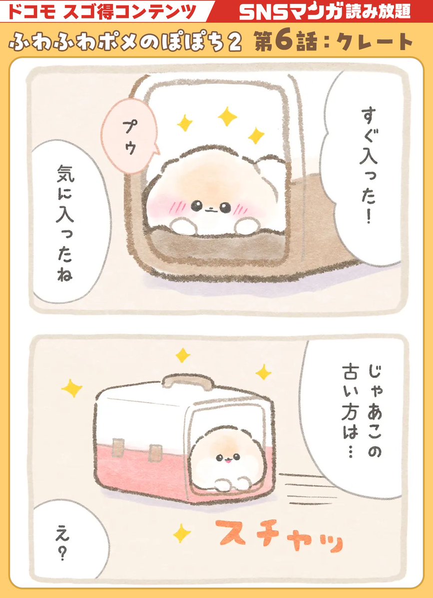 🍣くろ🍣 (@xxshirokuro26xx) / Posts / X