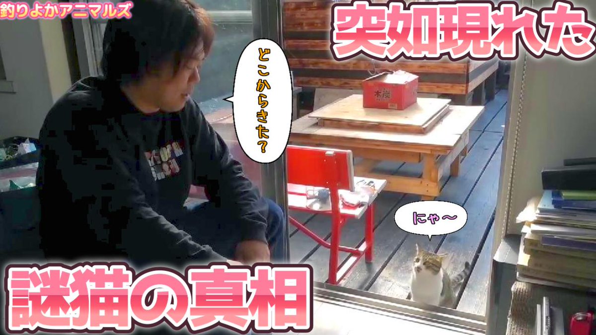 【釣りよかアニマルズ】動画に入り込んでた猫の鳴き声の正体！！ Part.358

youtu.be/mfrW383BRRc

#釣りよかでしょう
#佐賀よかでしょう
#釣りよかアニマルズ