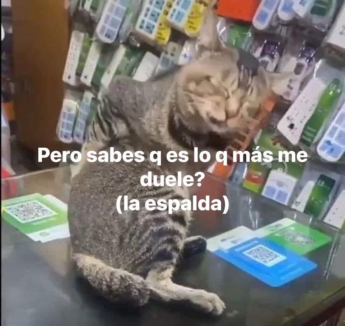 Animalesaprieto's tweet image. 