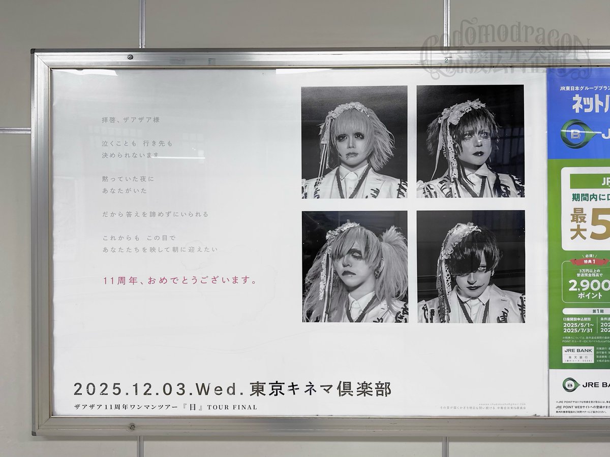 ザアザア まとめ売り　バラ売り不可 人気宅配ピザ「ピザーラ」× チャンネル登録者数1,450万人超YouTuber