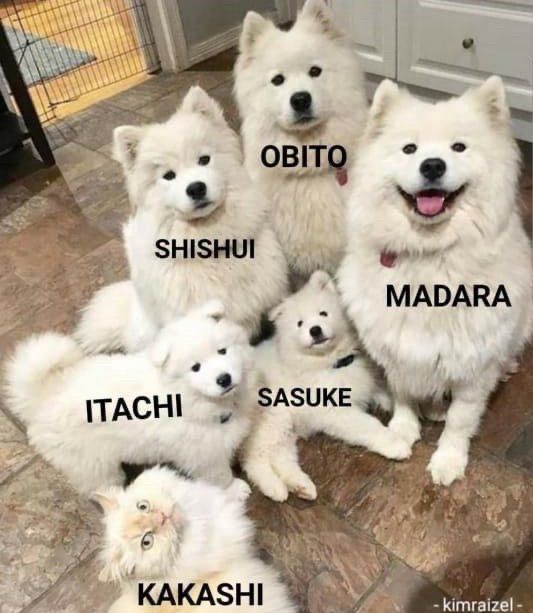 🤣🤣