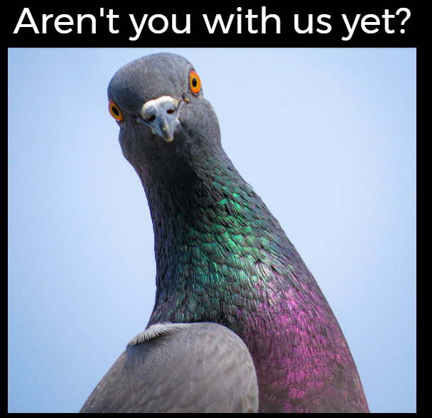 I created Meme with Walrus ecosystem projects
rememe.art/meme/0xc163e5d…

<a href="/WalrusProtocol/">Walrus 🦭/acc</a> <a href="/karrier_one/">Karrier One</a> <a href="/rememe/">Rememe</a>