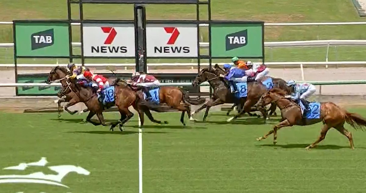 ステラン　の貢です。 豪イプスウィッチ競馬場未勝利戦（芝1200） Saxon Warrior産駒