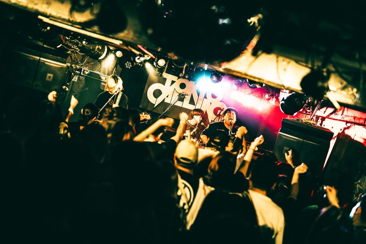 でかくてまるい。 tweet media