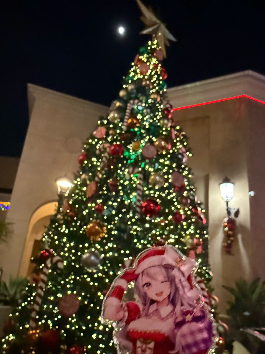 ツキトサンタ🌙🎅の映える時期‼️✨ 満月🌕と共にイルミネーションや