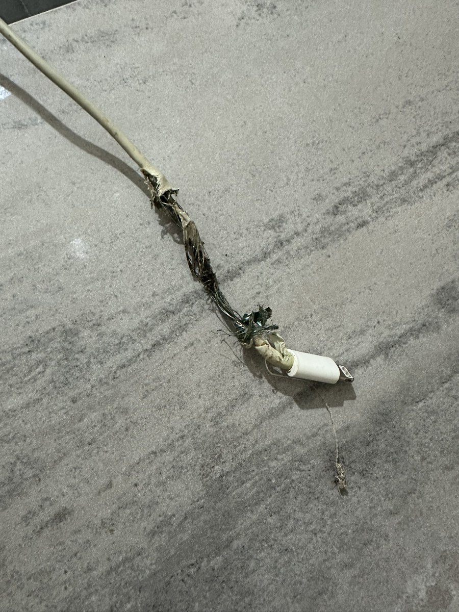 Sakın ama sakın telefonunuzu şarja takıp uyumayın. Hele ki benim gibi şarja takıp yastığınızın yanına koyup uyumayın. Yanık kokusuna uyandım elimi telefona atınca parmağımı yaktım. Işığı açtım bildiğiniz duman yükseliyordu. Kendi kendine yanmış. Kablom hasarlı değildi. Kokuyu