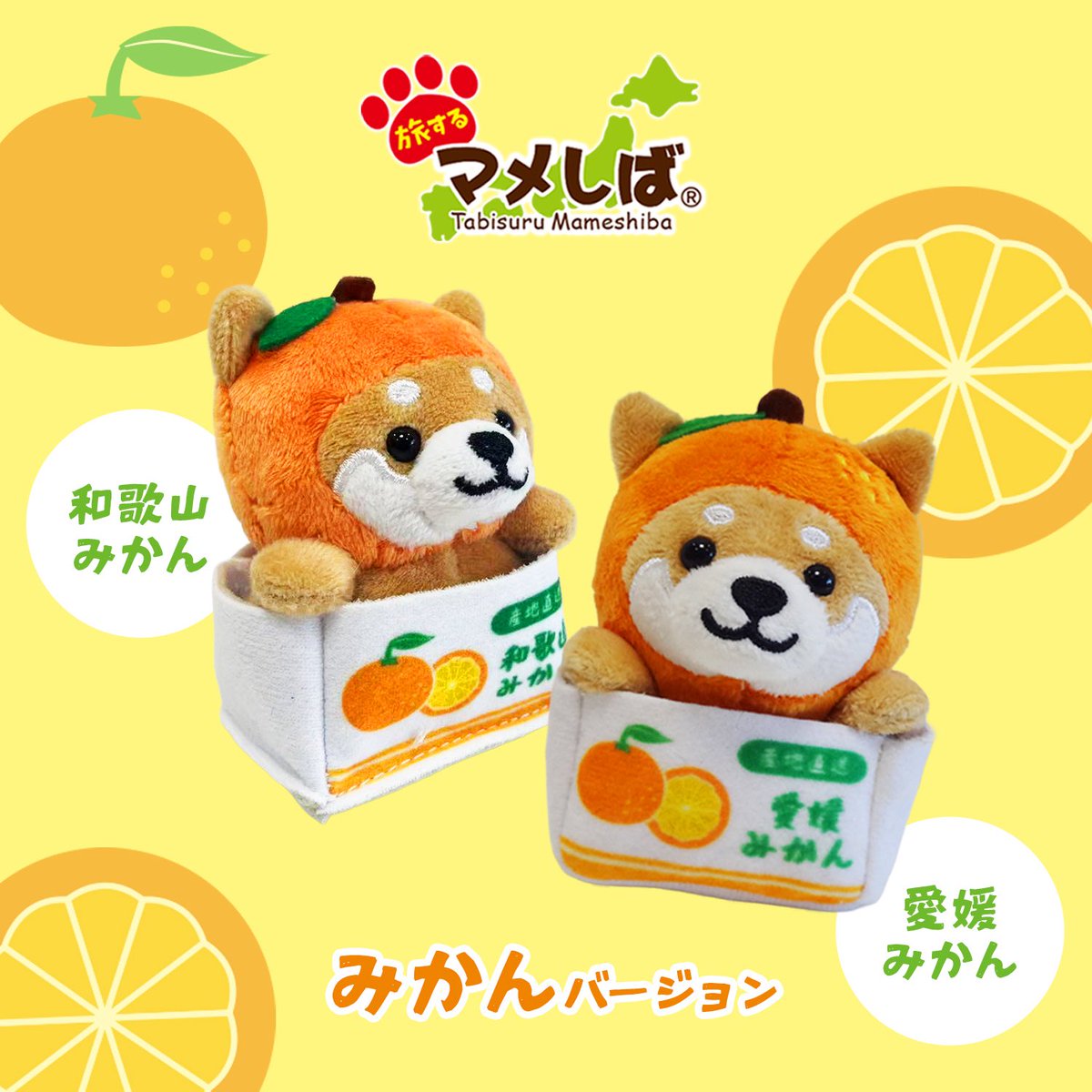 旅するマメしば (@tabi_mameshiba) / Posts / X