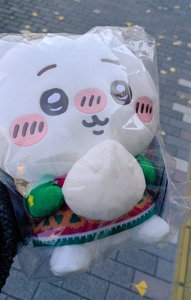 乃乃華ページ これを見た人は無言で去年の12月の画像を貼る