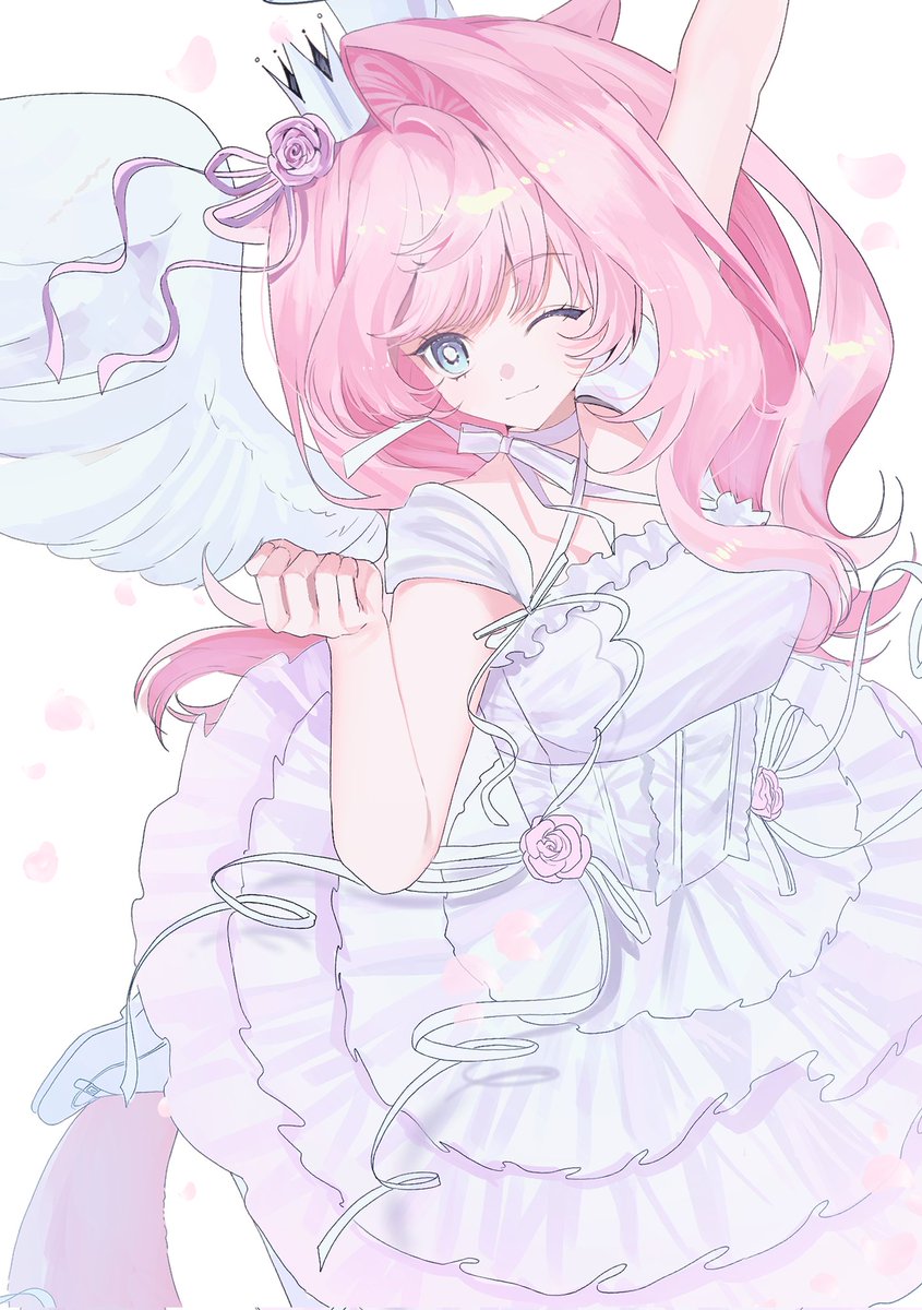 또도곰 tweet media