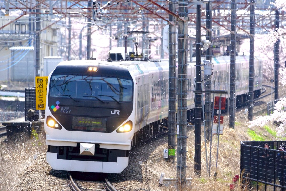 Non photo life (@Nobuto87967705) / Posts / X