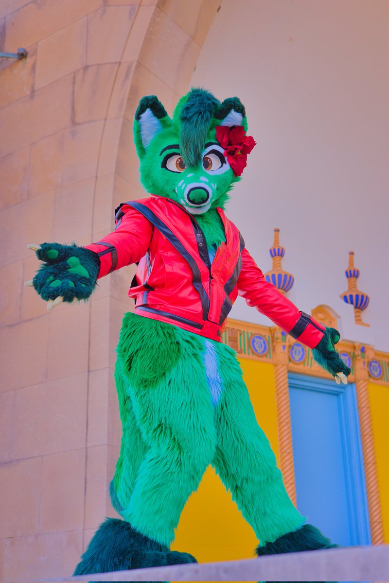 DukeDoggo's tweet image. How to find me at MFF!💚🐾
If you see a Michael Jackson jacket, it&apos;s likely me lmao💚