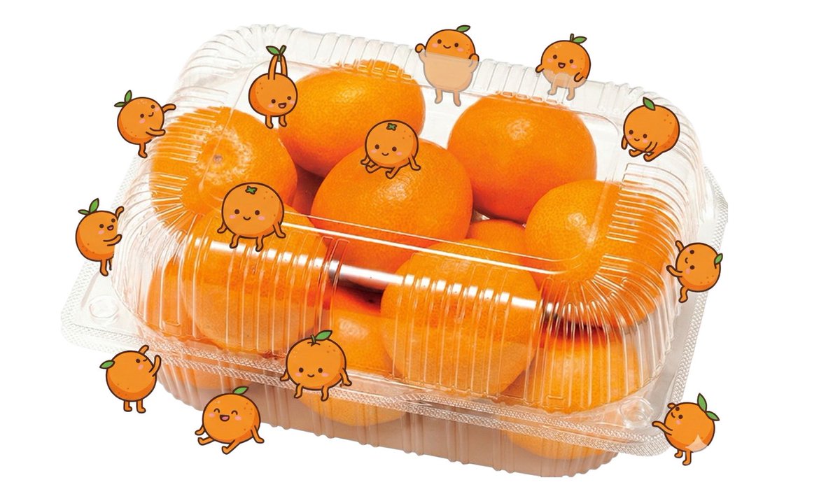 こたつみかん✩✩✩ こたつとみかん