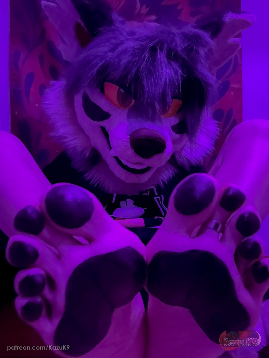 Kazu 🐺🐾 tweet media