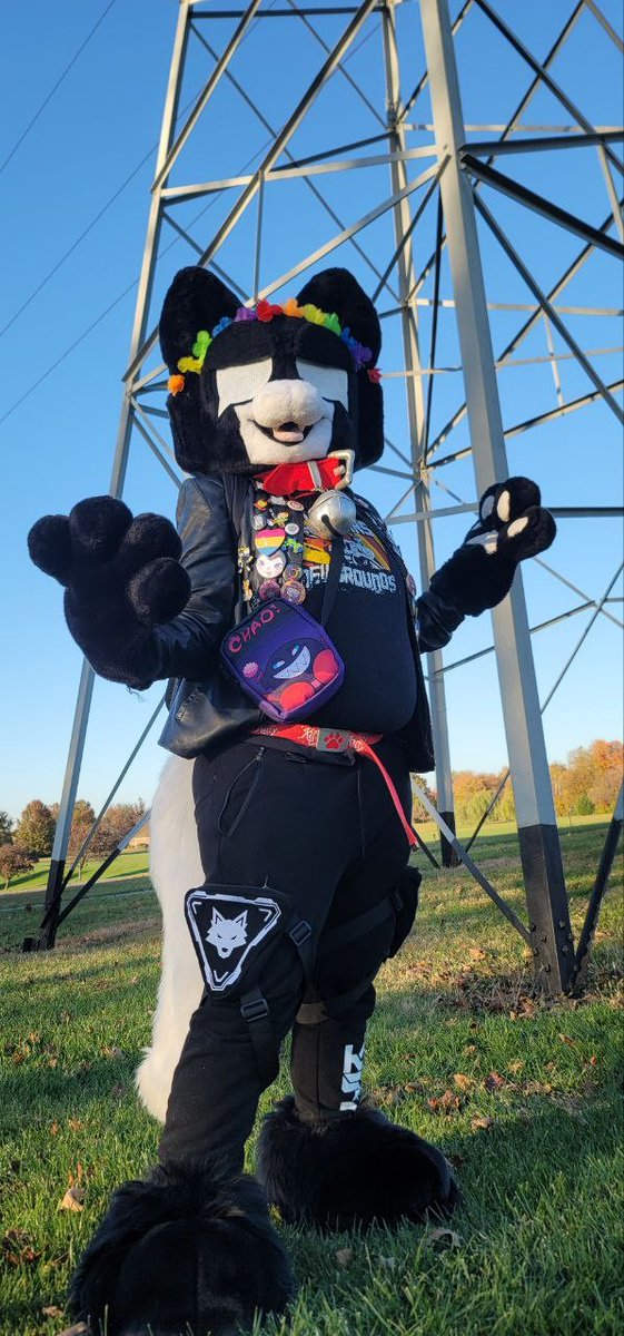 MFF FLIGHT TOMORROW MORNINGGGG! 🐱