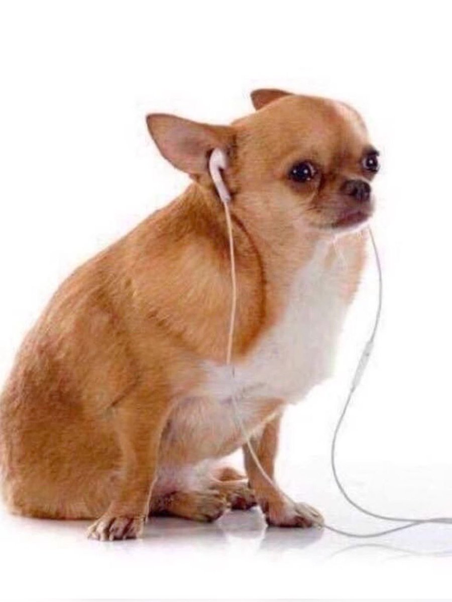 hiddenmistake_'s tweet image. Nayla ya harta frente a su espejo del camerino.