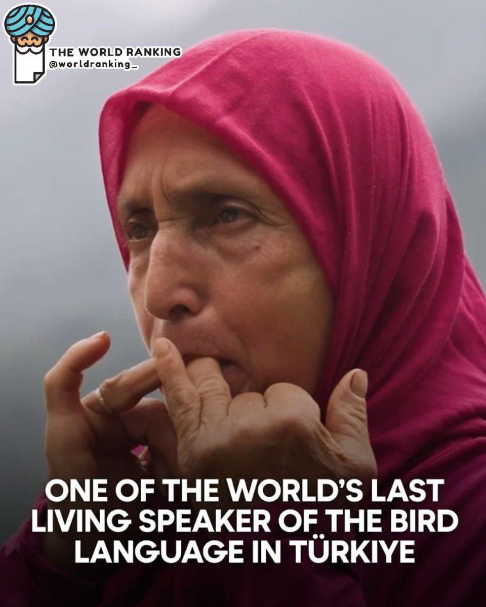 keKatie's tweet image. İlbey