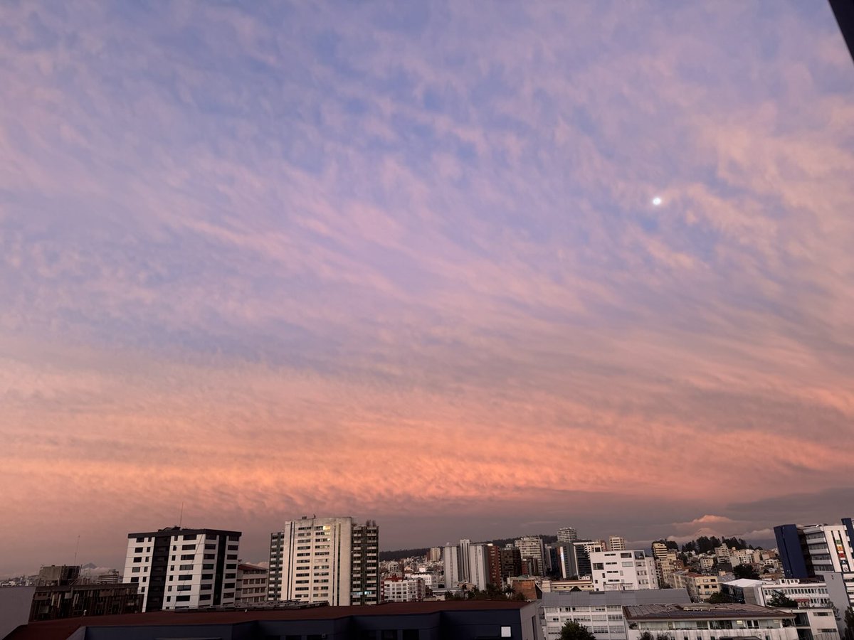 Sonia Merlyn tweet media