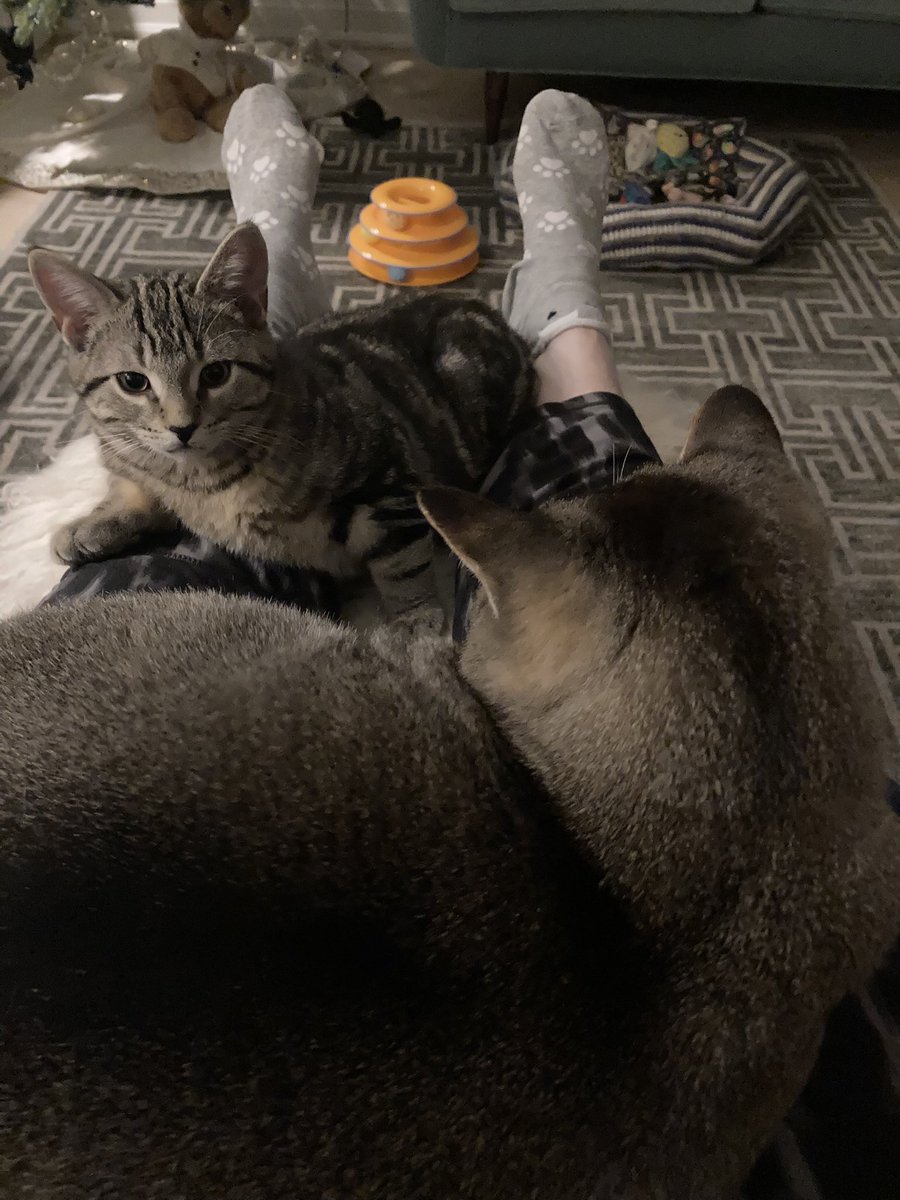 leet_muffin's tweet image. And now….this!??