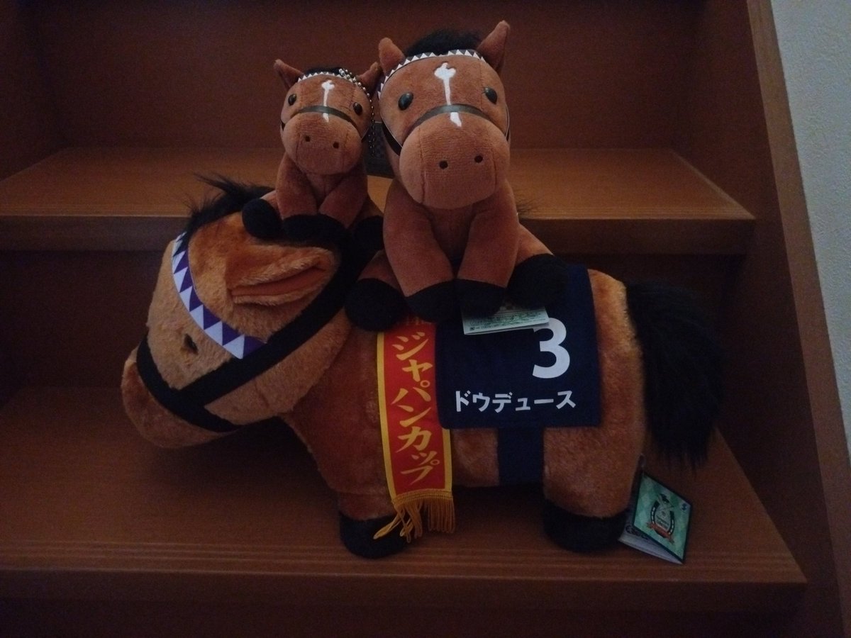 昨年ジャパンカップの ドウデュースぬいぐるみをゲットしたりしている