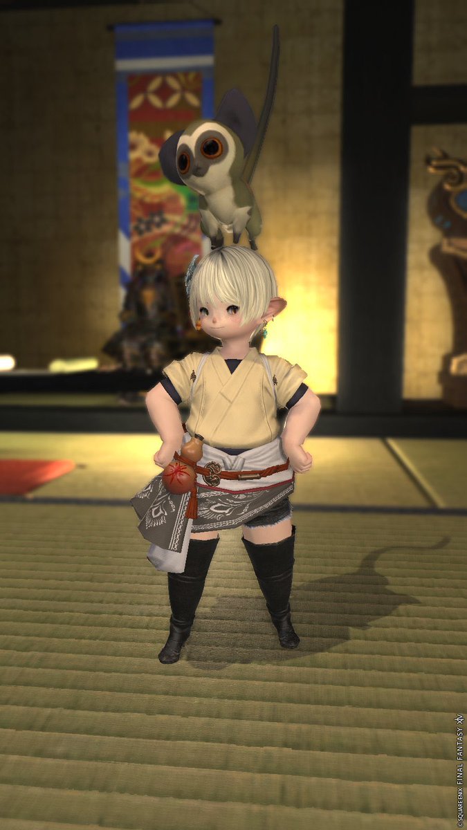 何の前触れもなくて恐縮ですが、私の左文字ミラプリコレクションを見て行ってください