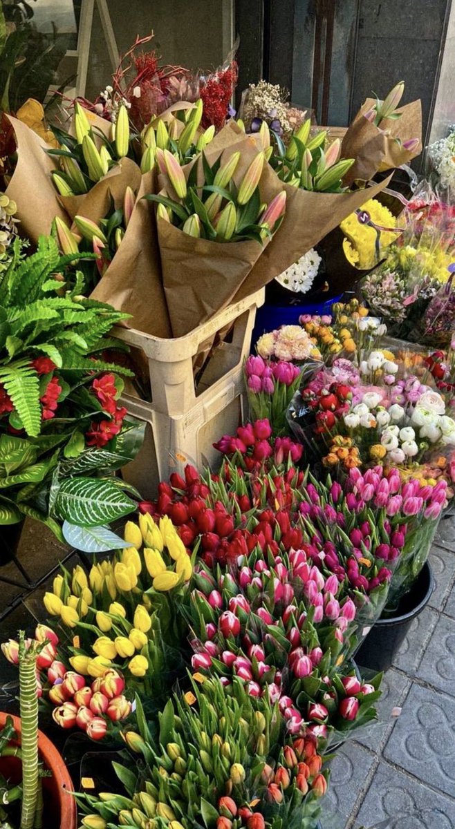 الأيام تمر والعمر يمضي ،لابد أن يغتنم المؤمن أيامه ويجعلها مُزهرةً بالعبادات والطاعات ، فإن إحسست روحك مُثقلة عند القيام بالعبادات إستعذ من الشيطان وأعزم على التغير لكل ما يُرضي الله ثم كرر هذا الدعاء فهو سلاح قوي للمؤمن :"اللهُم أعني على ذكرك وشكرك وحسن عبادتك"

#صباحيات_رونق 🕊️