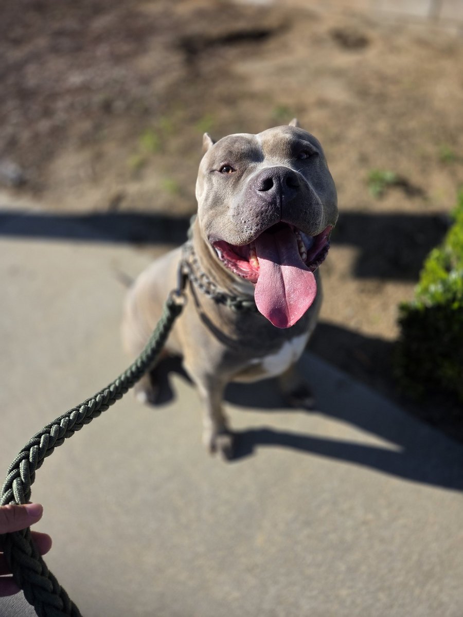 TheAJRamirez's tweet image. Who wants to help me earn my 1st $10 Amazon gift card? 🥹🙏🏼 #fetch
 😙referral.fetch.com/vvv3/referralq…