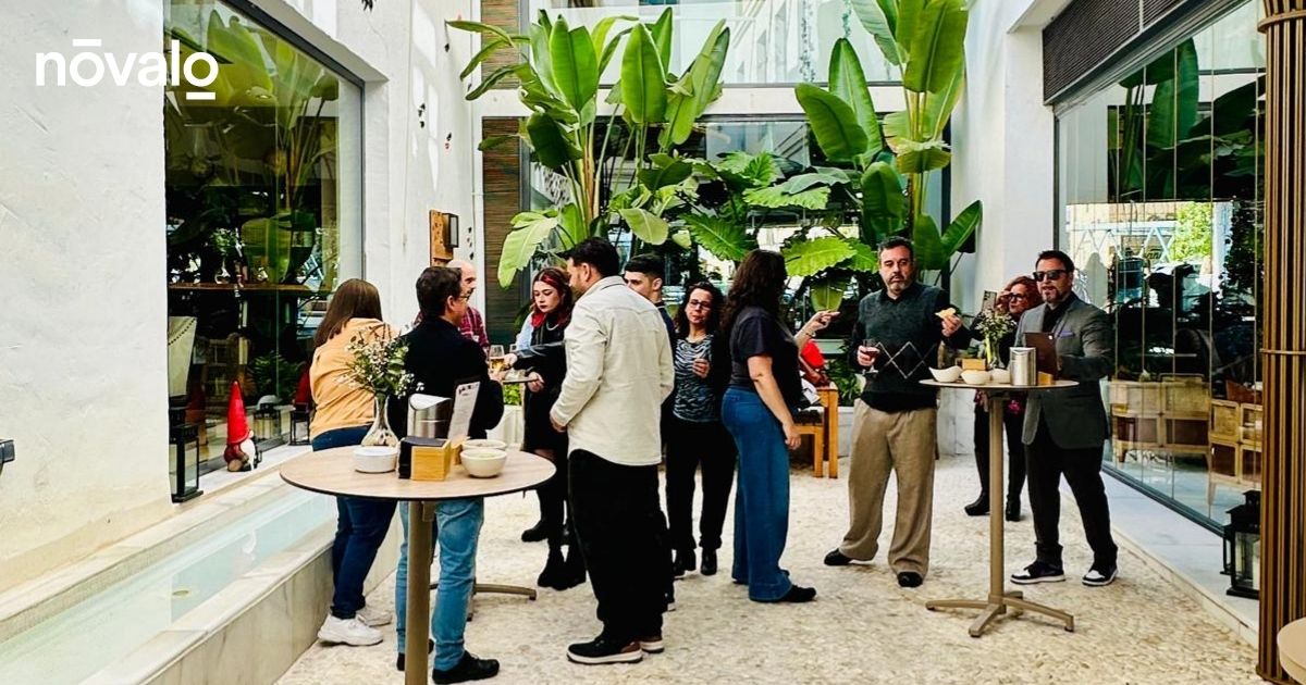 Nóvalo · The Language of Brands tweet media