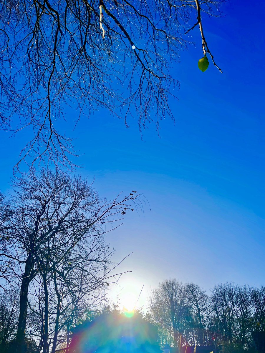 Stifyn1's tweet photo. Letโs have it #heulwen #letshaveit #garden #naturephotography #wednesday #december #winter https://t.co/vfczzC8kmk