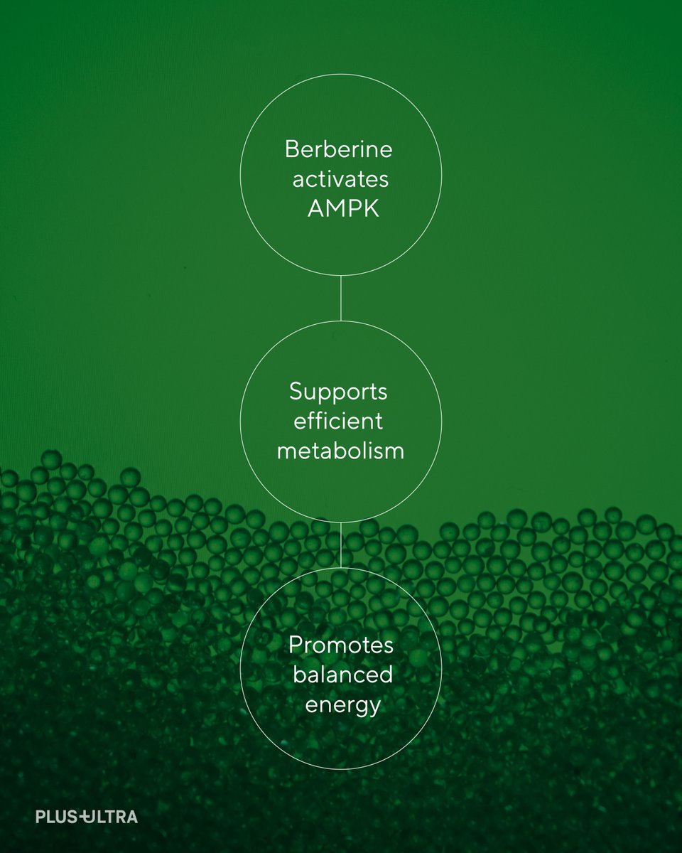PlusPlusUltra_'s tweet photo. Your metabolism starts in your gut — support the system that fuels your energy daily.
#GutHealth #MetabolicSupport #SteadyEnergy #PlusUltraPlus https://t.co/0TDURNTUCy