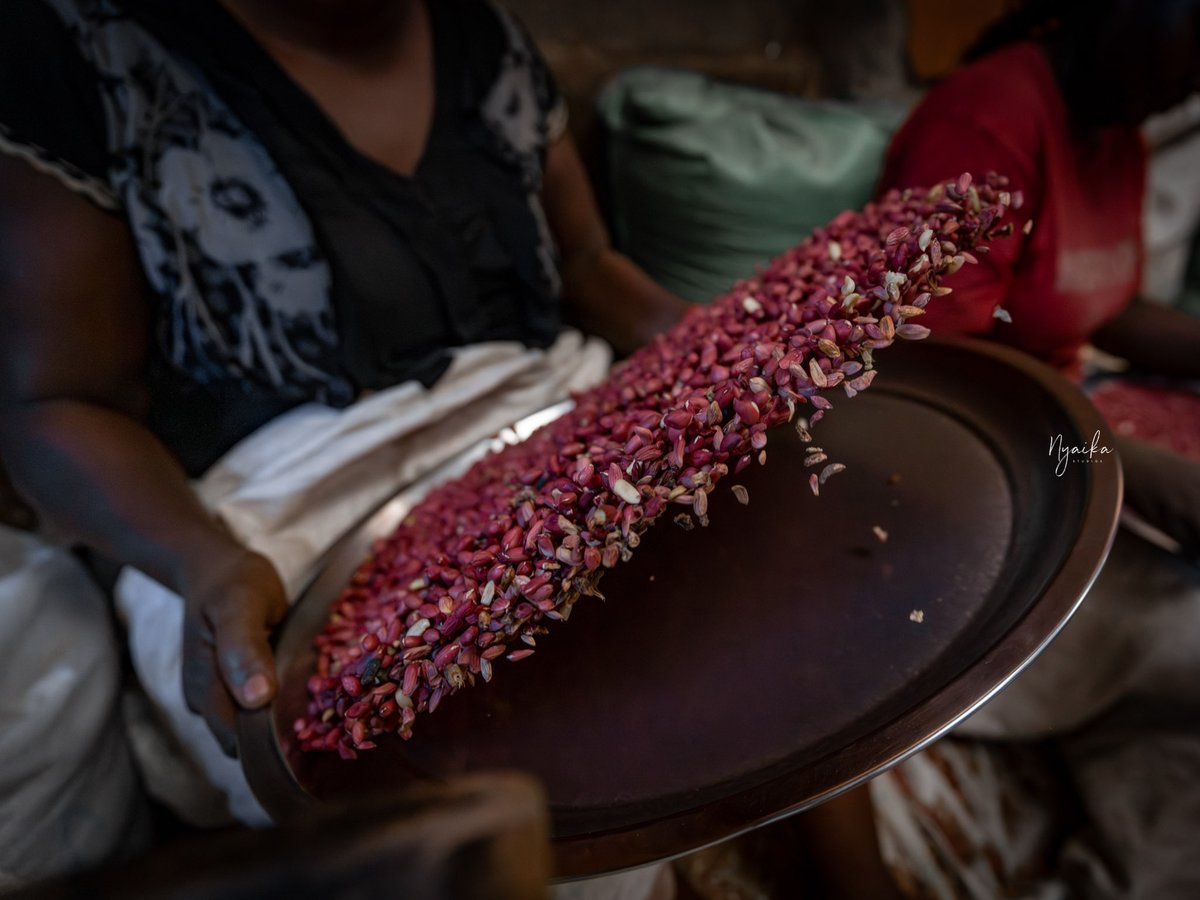 nyaika256's tweet image. In photography timing is everything