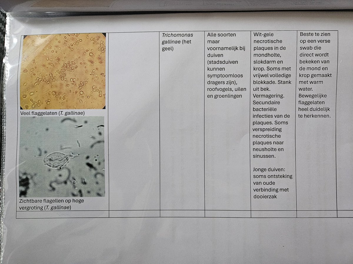 Zo naar de Faculteit diergeneeskunde. Een vullend programma over vogels.
Ik heb zelfs wat huiswerk gehad 😁

#Kennis #Wildopvang #vogels