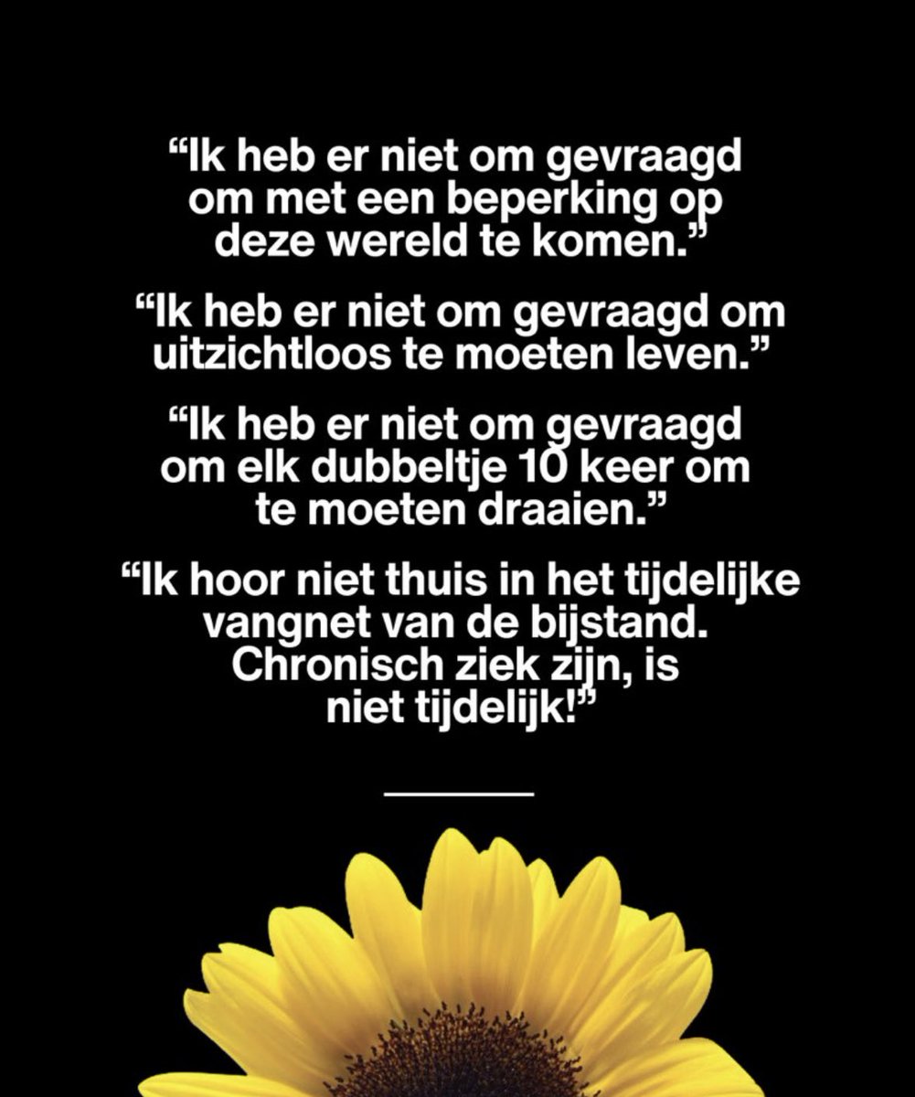Lisa Westerveld 🟥 tweet media