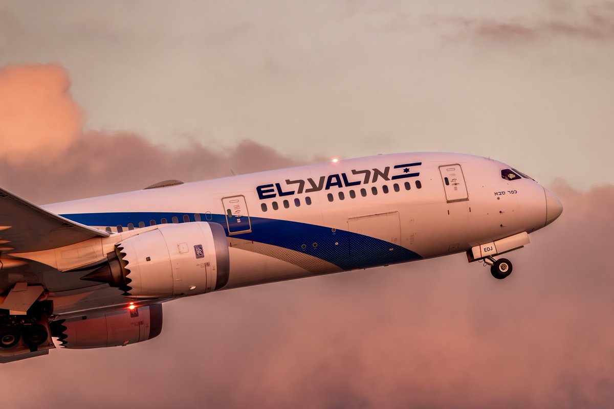 よっしぃー (@yossy9824) / Posts / X