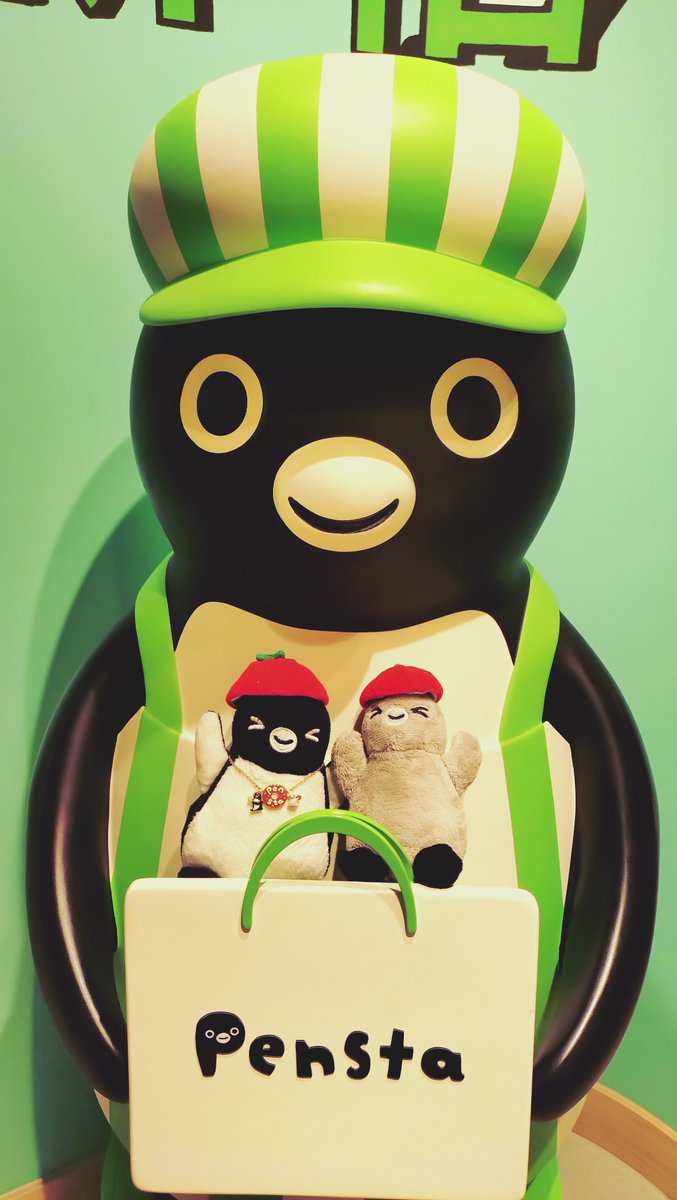 ぺんちゃん 71QbpbBWP+L._AC_UF350,