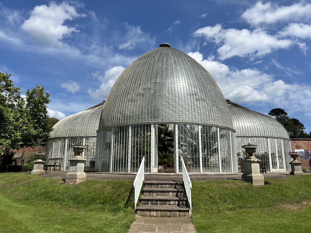 vanessa_c_clark's tweet image. #AlphabetChallenge #WeekWforWindows These lovely windows at Bicton Park are made up of thousands of little squares of glass.
