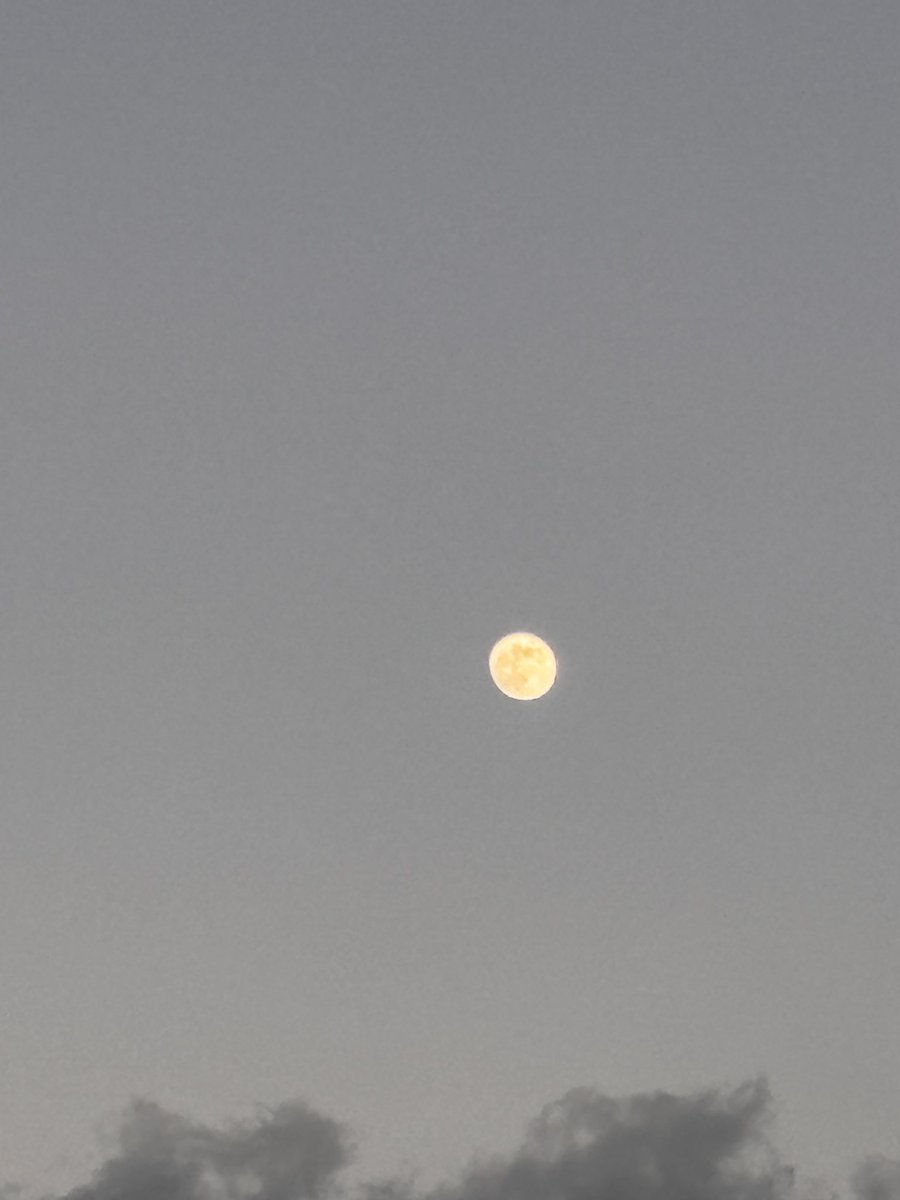 toshitaka3776's tweet photo. お疲れ様です
冷えてきましたﾌﾞﾙﾌﾞﾙ.
冬空月🌕出てます

＃イマソラ 
＃つき https://t.co/DI5qV6AKLH