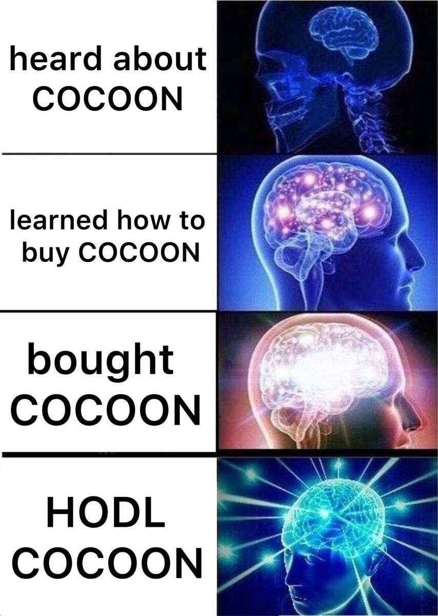 Every member of the $COCOON family has walked this path!

It's time for you to walk this path too!