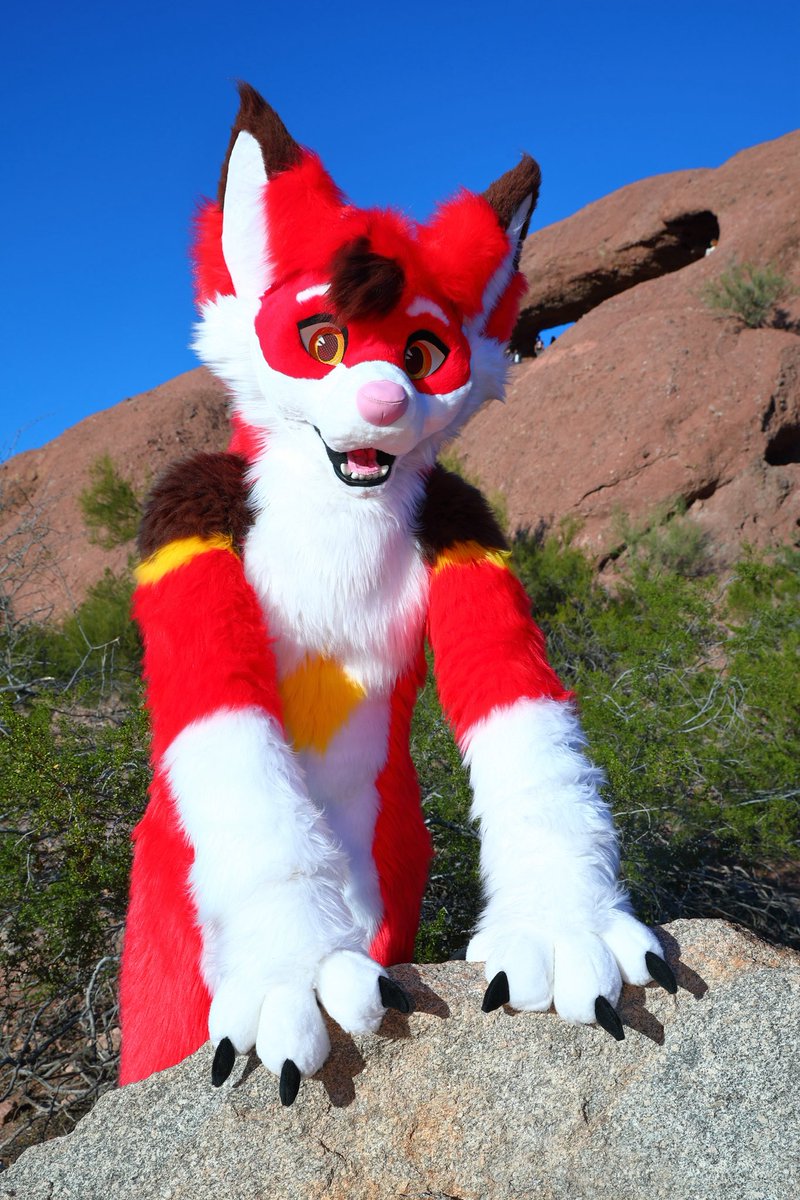 Just a fox in the desert ☀️

<a href="/PrimalSuits/">Primal Roots Crafts and Suits</a>