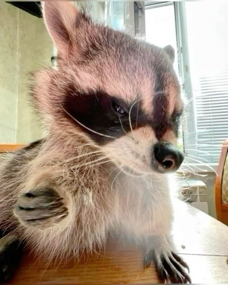 ColeTheBandit's tweet photo. you said you wouldn't tell anyone

https://t.co/vD8rMIfZUq https://t.co/ZOusyrbiey