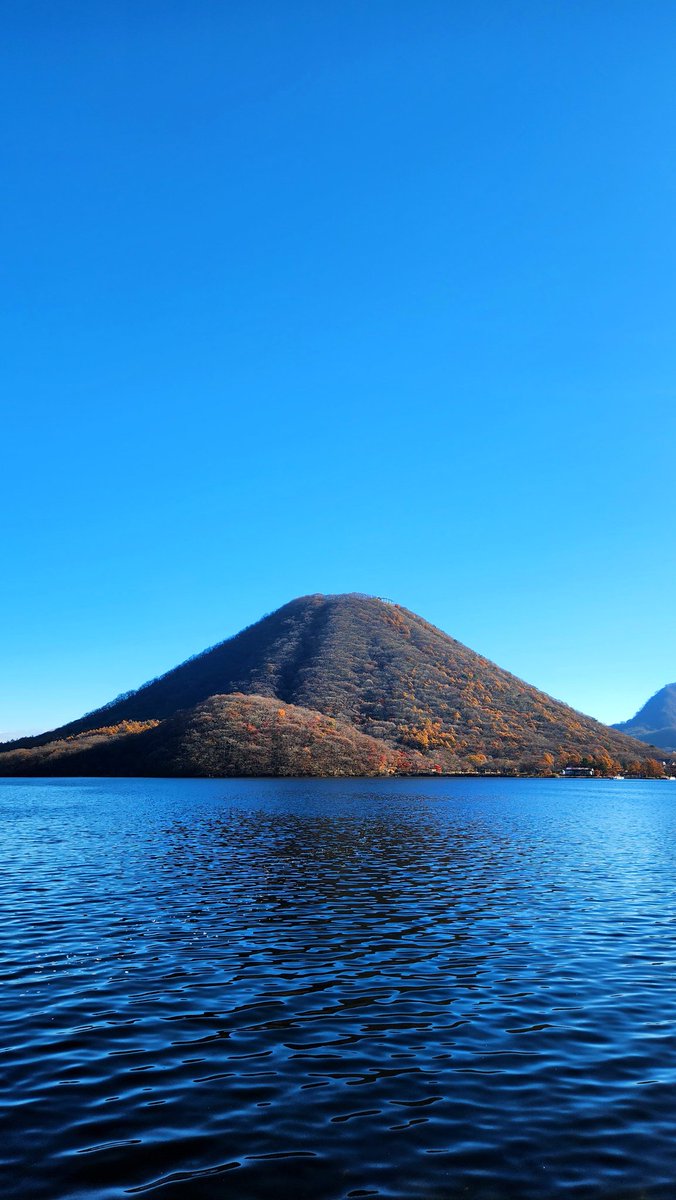 いもむしc(.(.(.(.(@･ω･) tweet media