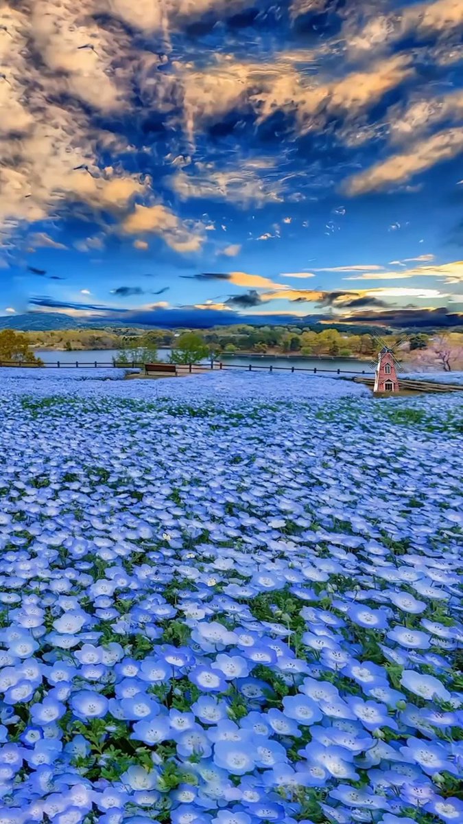 Happy Wednesday🦋💙🦋