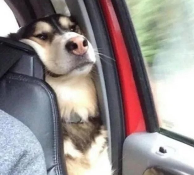 When ur in the backseat desperately trying to be a part of the front seat conversation.
