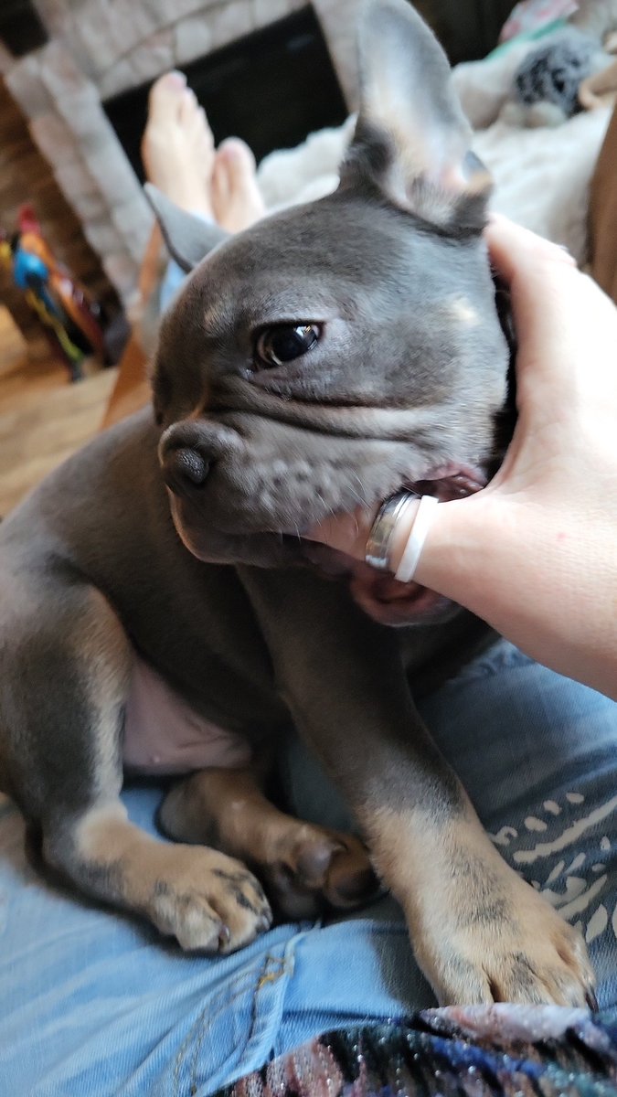 Goedemorgen.  Rottigheid is weer geactiveerd 😉😅🤣