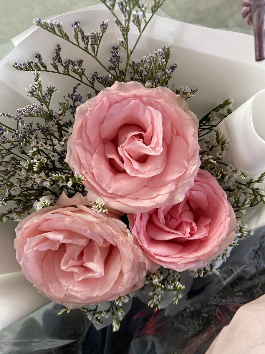 paint 🎂 2much tweet media