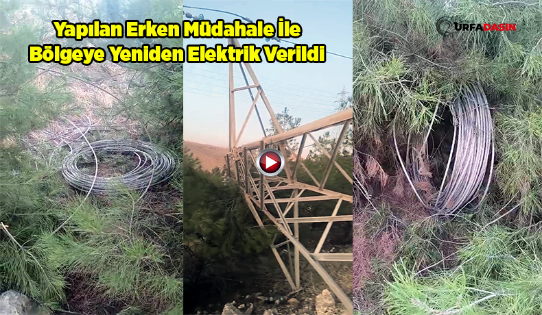 urfadasin's tweet image. Urfa'da Elektrik Direğinin Parçaları ile Teller Çalındı, İşyerleri Enerjisiz Kaldı urfadasin.com/urfada-elektri… #Şanlıurfa #hırsızlık #teller #çalındı @DicleElektrikAS