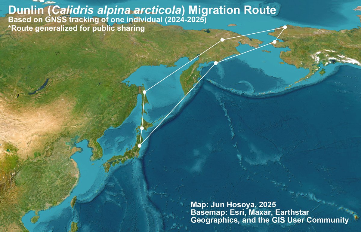 Jun Hosoya tweet media