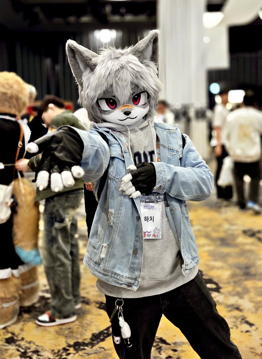 퍼스트 클래스 -<a href="/XINYU_FUR/">신유 シンユー</a> 하얀늑대 신유 님