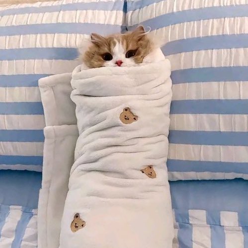 jiminbeakie's tweet image. FIND THE DIFFERENCE