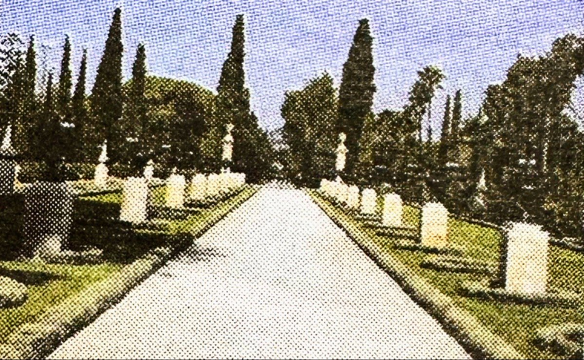 على رصيفيّ العين عيون

جياد الاشتباك بها

عيوننا التي تفسّر الاحلام

صهرتنا اسرارها في المحيط

#هاشم_ذياب