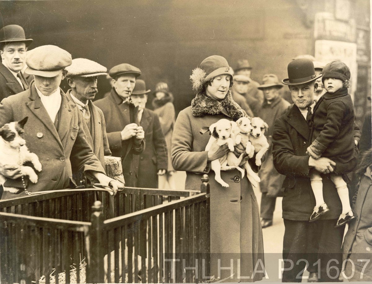 Tower Hamlets Archives tweet media